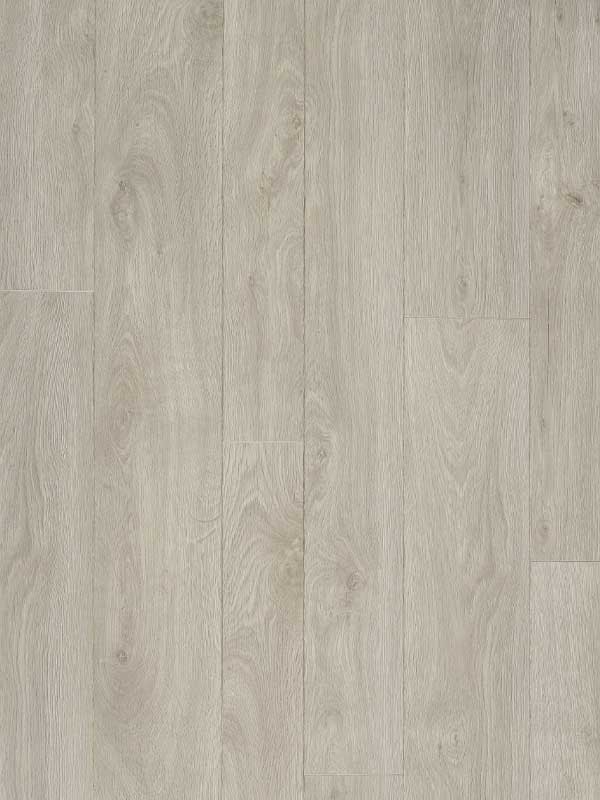 Glorious-Glo-Small-Glo-XL_Combo-Jazz-XXL-Light-Grey_B1004.jpg Glorious - Jazz XXL Light Grey B1004 - Image 1