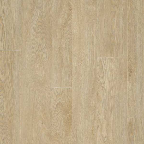 Glorious - Jazz XXL Natural B1007
