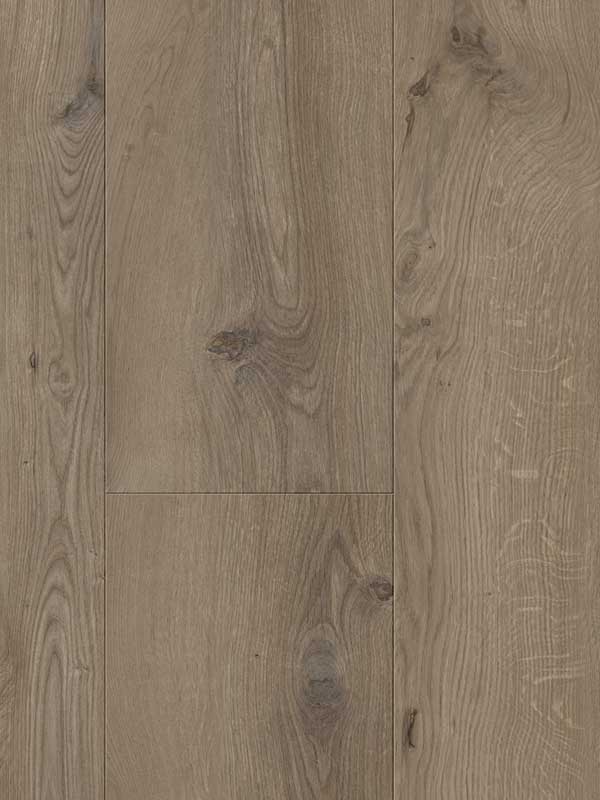 Glorious-Gyant-XL-Dark-Brown_B1113.jpg Glorious - Gyant XL Dark-Brown B1113 - Image 1