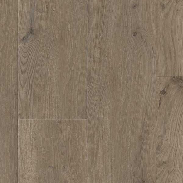 Glorious Small - Gyant XL Dark Brown_B1113