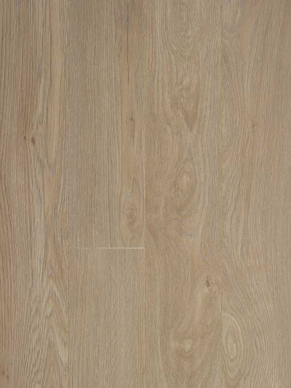 Glorious-Small-Jazz-XXL-Natural_B1007.jpg Glorious Small - Jazz XXL Natural_B1007 - Image 1