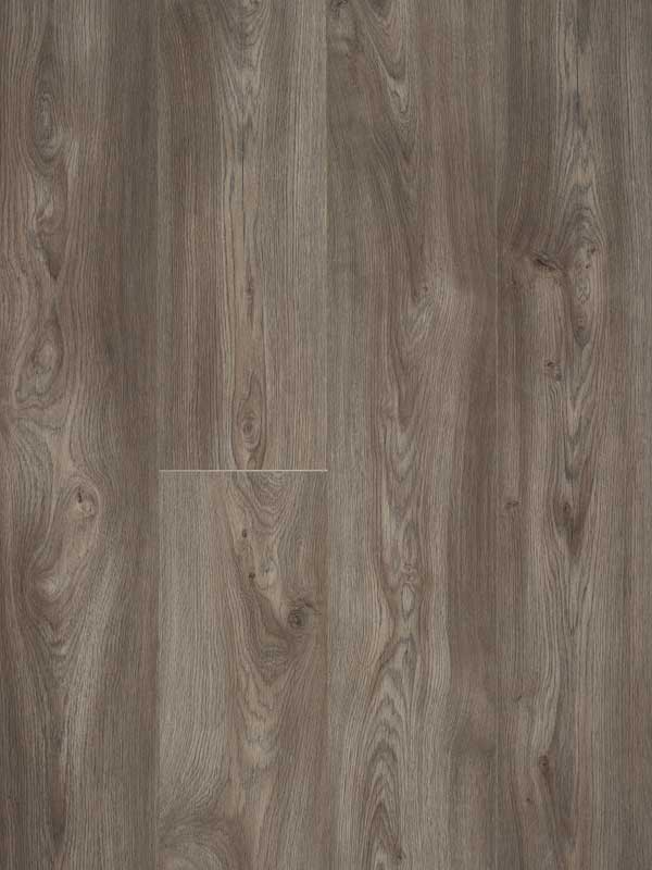 Glorious-XL-Jazz-XXL-Brown_B1011.jpg Glorious XL - Jazz XXL Brown_B1011 - Image 1