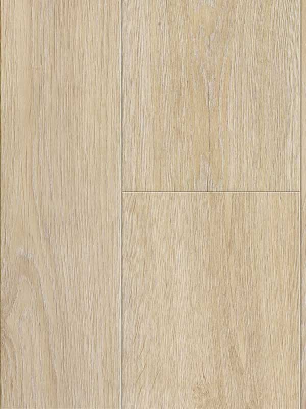 Glorious-XL-Jazz-XXL-Light-Natural_B1005.jpg Glorious XL - Jazz XXL Light Natural_B1005 - Image 1