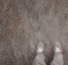 Marmoleum vivace Oyster Mountain