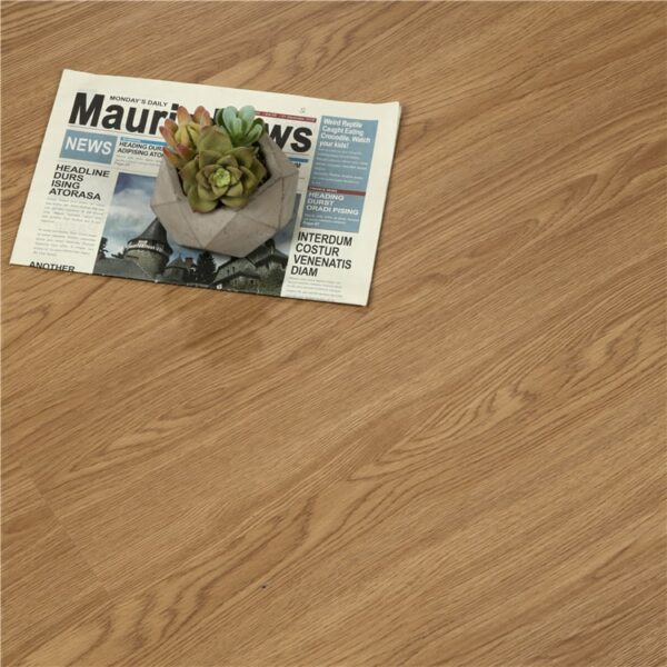 6mm SPC Flooring FN0029
